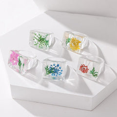 Botanischer Garten Harzring