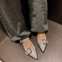 Elegant Pointed toe Stiletto Sandals