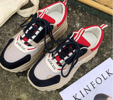 Casual Mesh Breathable Chunky Sneakers