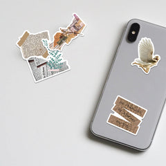 Paquete de pegatinas de Soft Academia