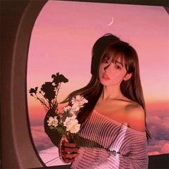 5 Arten von gefälschten Fensterwandprojektoren