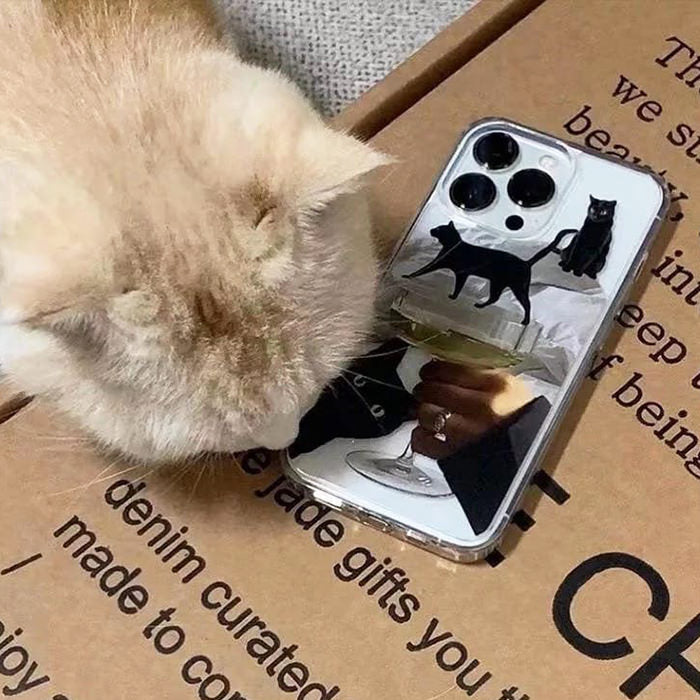 Funda para iPhone con gatos negros