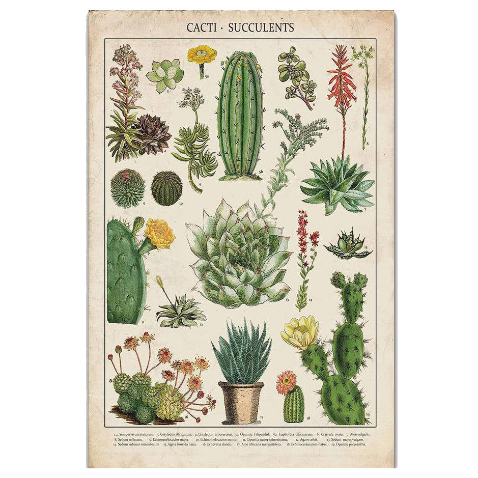 Póster vintage de cactus y suculentas