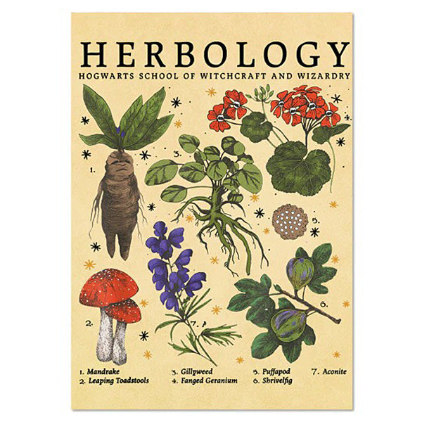 Herbology Vintage Poster