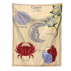 Horoscope Aesthetic Wall Tapestry