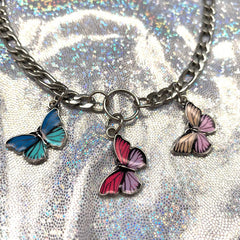 Collar Papillon 