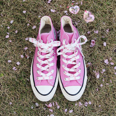 Cordones de zapatos Sakura 