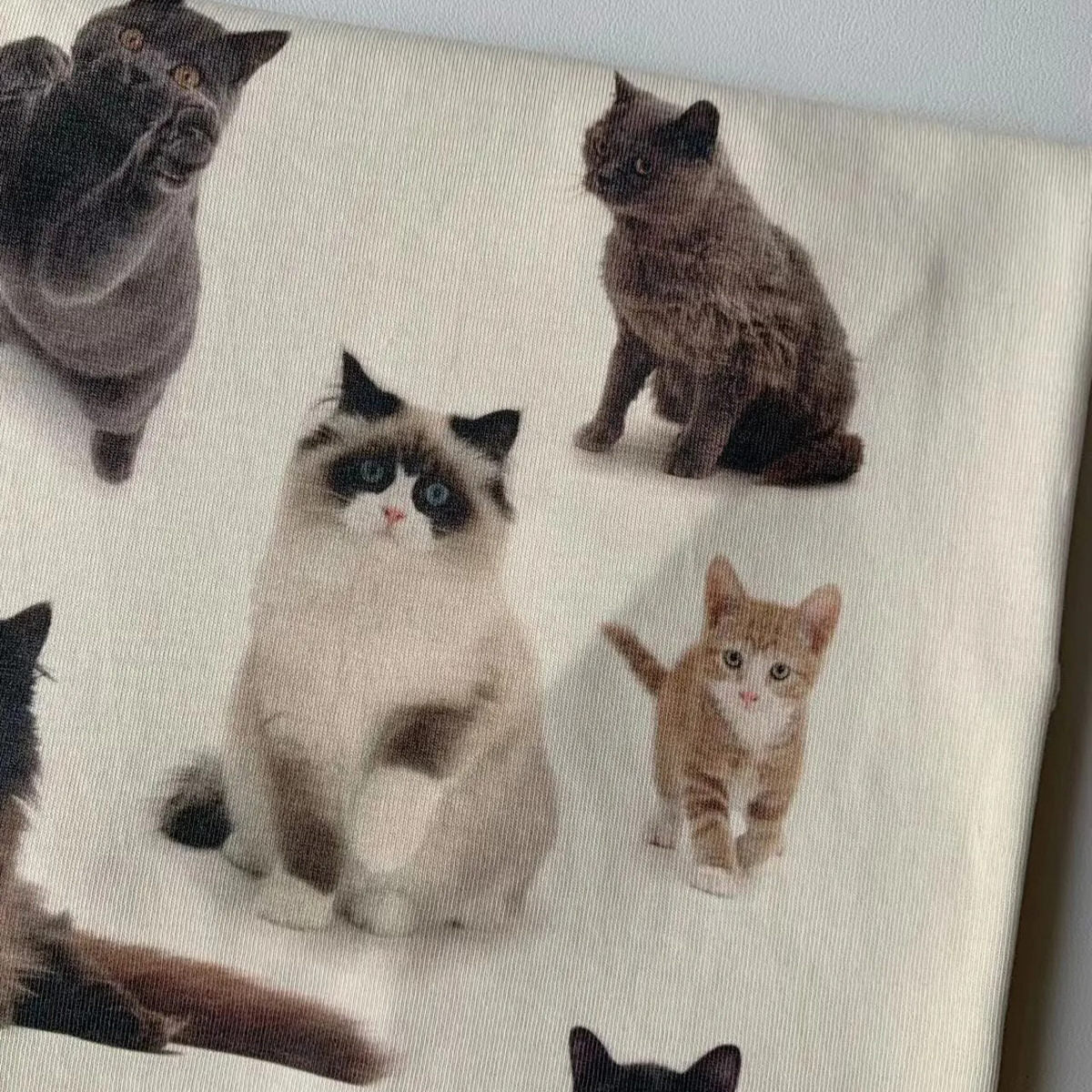 Camiseta estética con estampado de gato